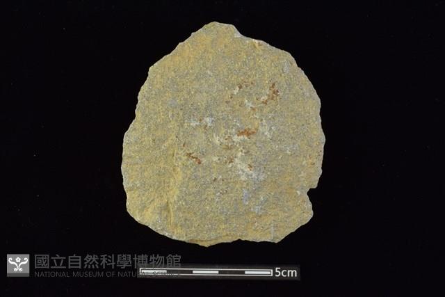 斧鋤形器藏品圖，第2張