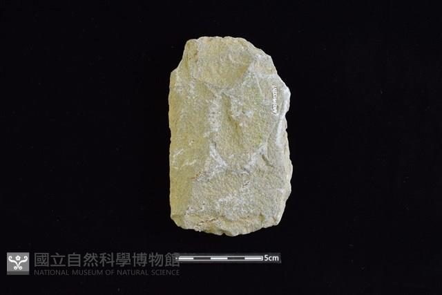 斧鋤形器藏品圖，第2張