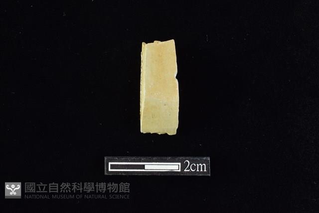 錛鑿形器藏品圖，第1張
