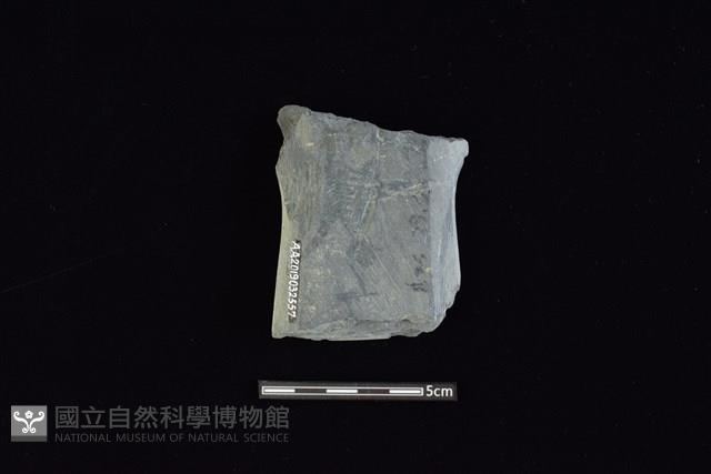 戈形器藏品圖，第2張