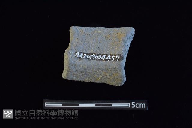 陶罐藏品圖，第2張