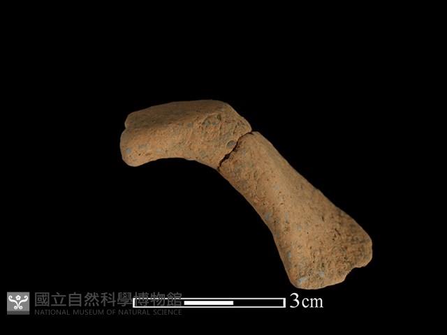 陶把藏品圖，第1張