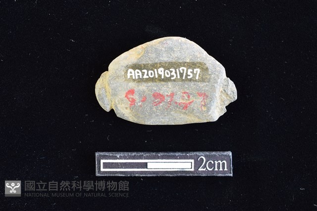 網墜藏品圖，第2張