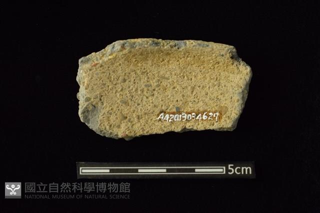 陶容器藏品圖，第2張