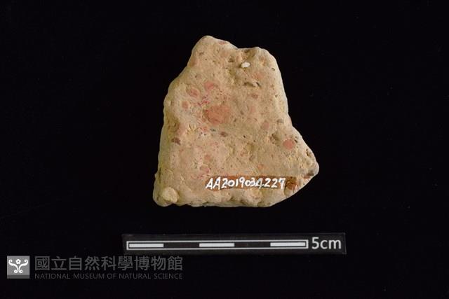 陶片藏品圖，第2張