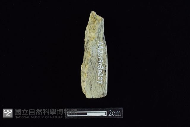 錛鑿形器藏品圖，第2張