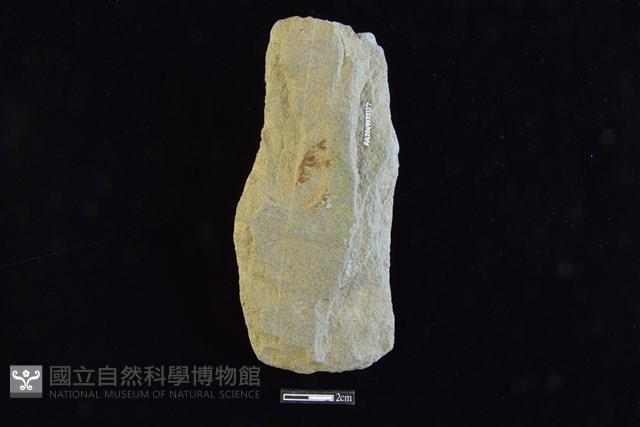 斧鋤形器藏品圖，第2張