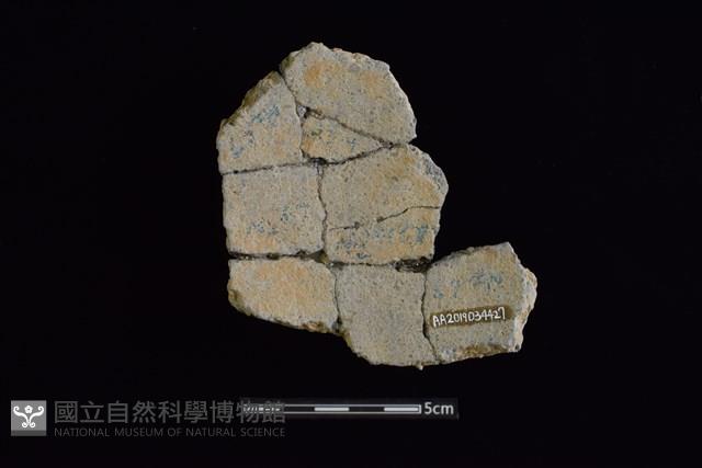 陶片藏品圖，第2張