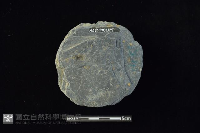 石圓片藏品圖，第2張