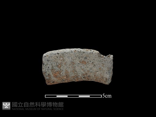 陶罐藏品圖，第2張