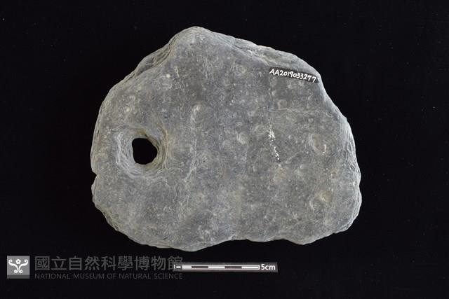 穿孔石板藏品圖，第2張