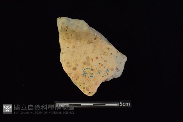 陶罐藏品圖，第1張