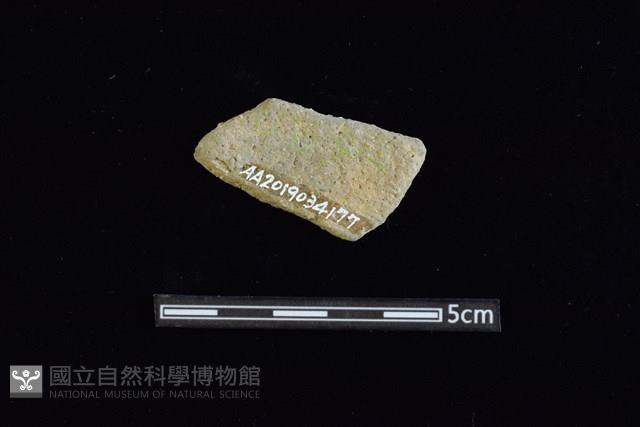 陶片藏品圖，第2張