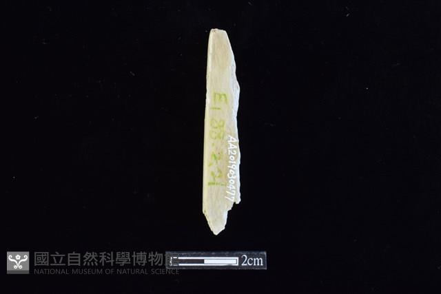 錛鑿形器藏品圖，第2張