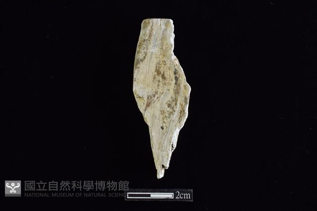 錛鑿形器藏品圖，第2張