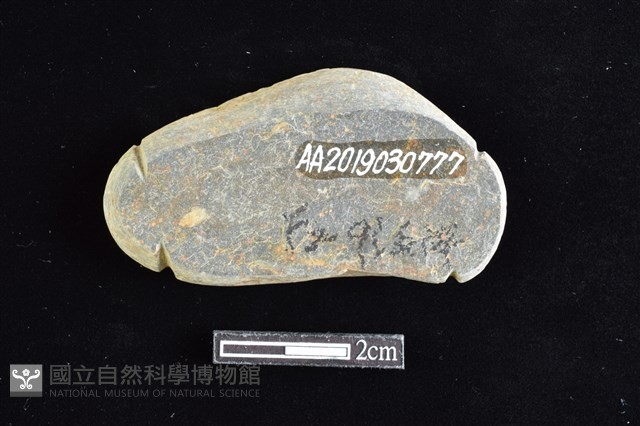網墜藏品圖，第2張