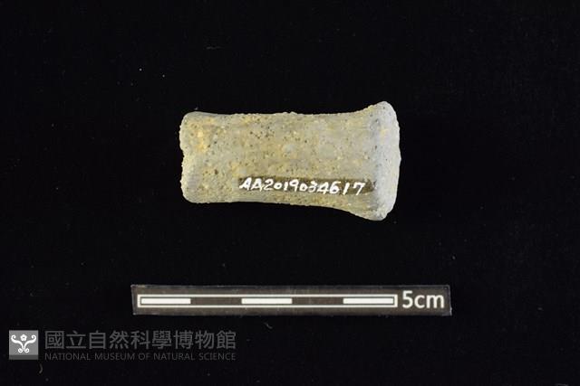 鼎足藏品圖，第2張