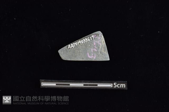 矛鏃形器藏品圖，第2張