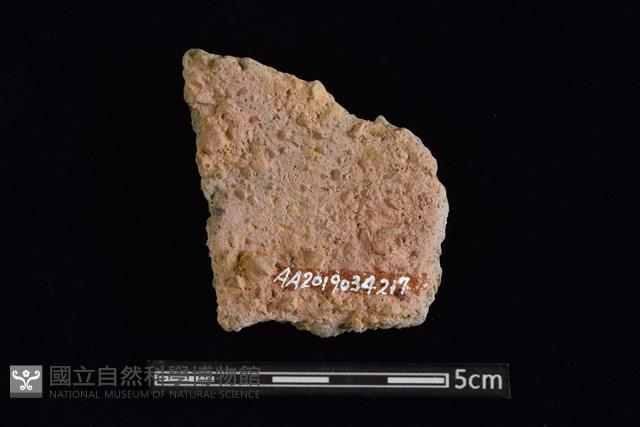 陶片藏品圖，第2張