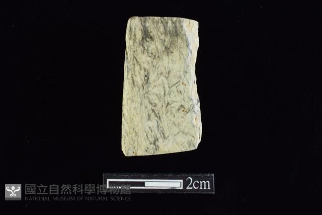 錛鑿形器藏品圖，第2張