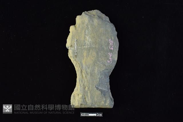 戈形器藏品圖，第2張