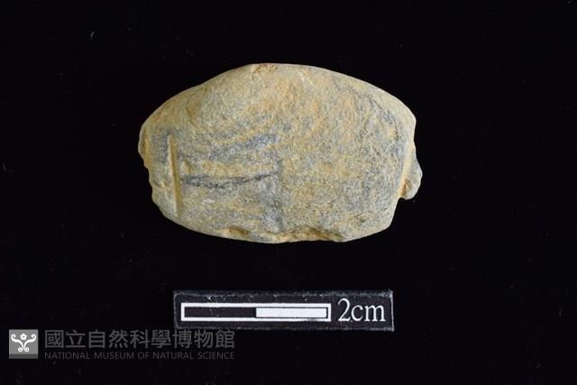 網墜藏品圖，第1張