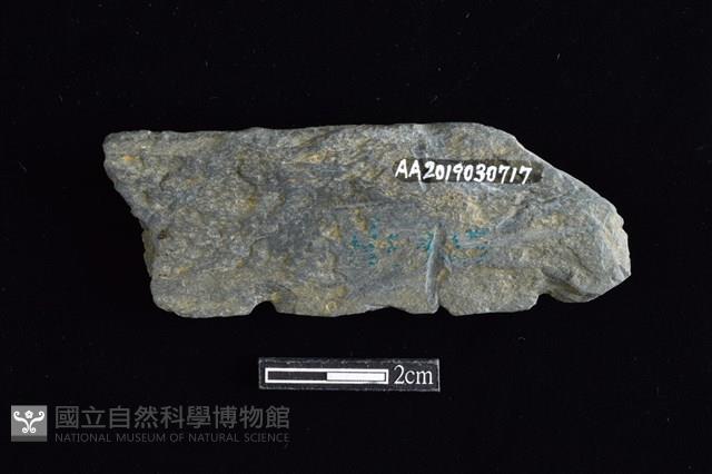 網墜藏品圖，第2張