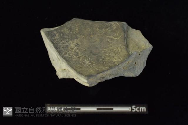 陶片藏品圖，第2張