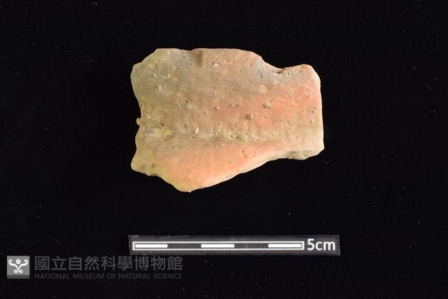 陶罐藏品圖，第1張