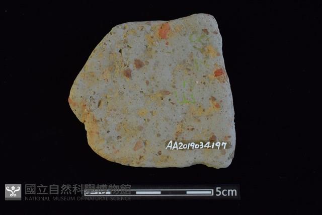 陶片藏品圖，第2張