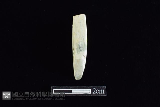 錛鑿形器藏品圖，第1張