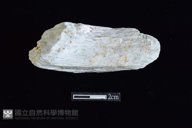 玉料藏品圖，第2張