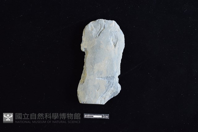 戈形器藏品圖，第2張
