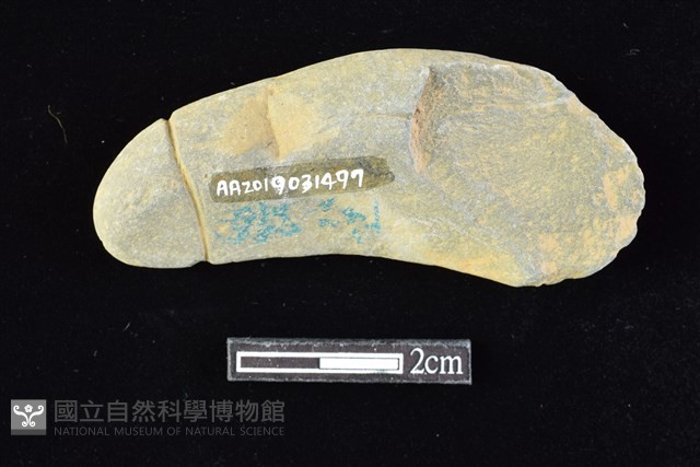 網墜藏品圖，第2張