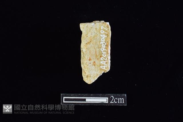 錛鑿形器藏品圖，第2張