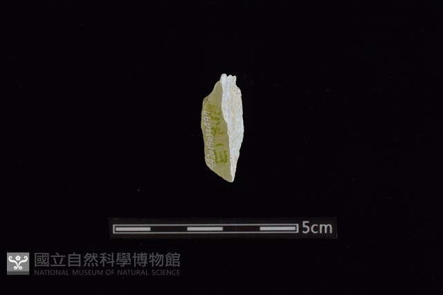 玉料藏品圖，第2張