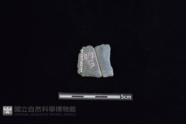 矛鏃形器藏品圖，第2張