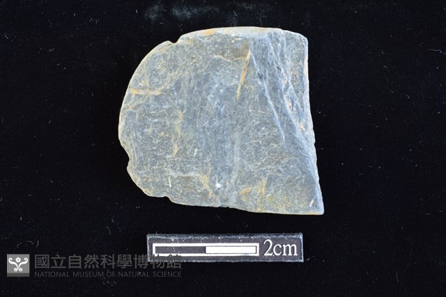 網墜藏品圖，第2張