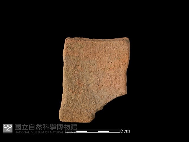 陶片藏品圖，第2張