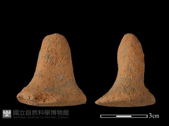 陶蓋鈕藏品圖，第1張