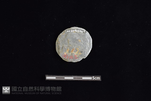 石圓片藏品圖，第2張