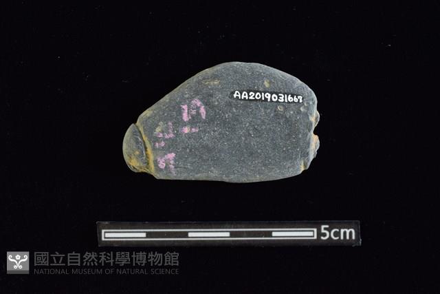 網墜藏品圖，第2張