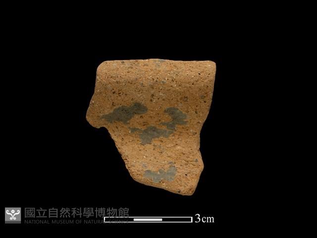 Accession Number:BY-2017-0667 Collection Image, Figure 2, Total 2 Figures