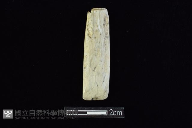 錛鑿形器藏品圖，第1張