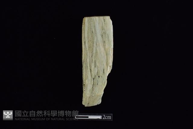 錛鑿形器藏品圖，第1張