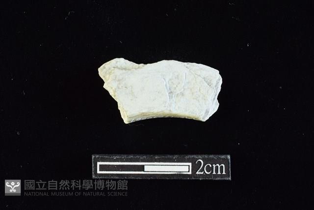 玉料藏品圖，第2張