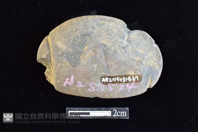網墜藏品圖，第2張