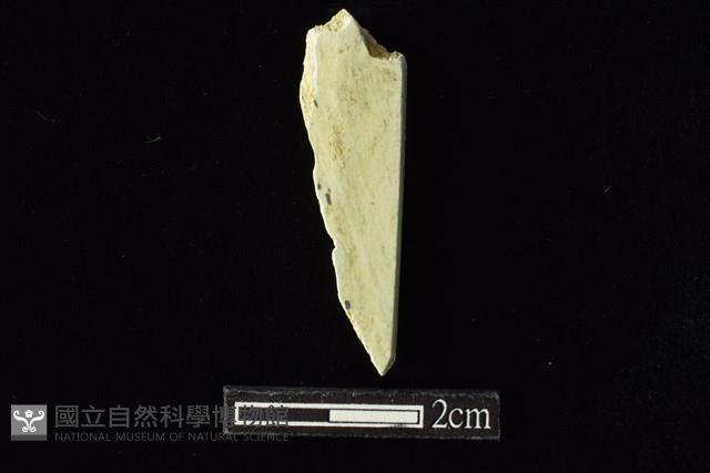錛鑿形器藏品圖，第2張