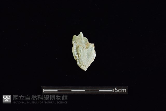 玉料藏品圖，第2張