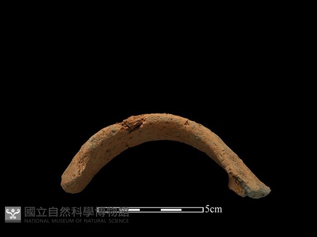 陶把藏品圖，第1張